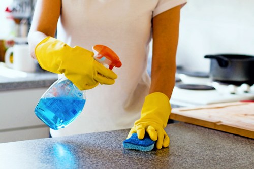 Cleaning technician reviewing service details before work begins