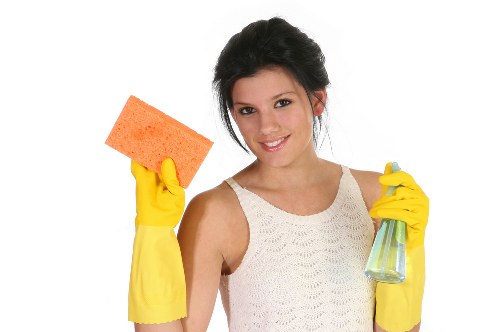 Steam cleaning preparation and carpet care in a Tottenham property