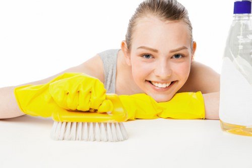 Common household stains treated in a Tottenham property
