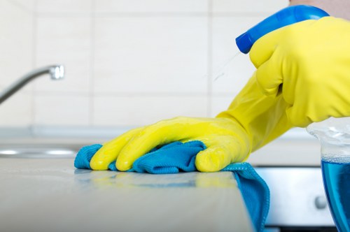 Deep cleaning of pet urine odour from upholstered furniture in Tottenham
