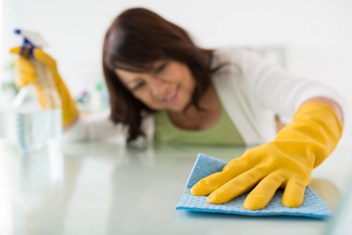 Supervisor reviewing safety procedures before a carpet cleaning job