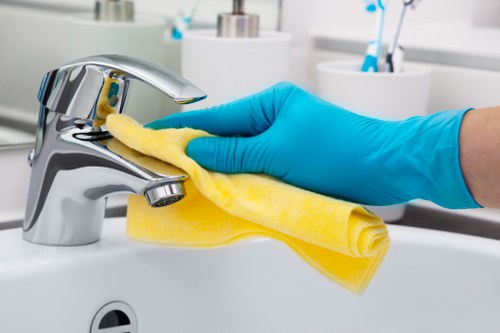 Professional carpet cleaning service for Tottenham properties