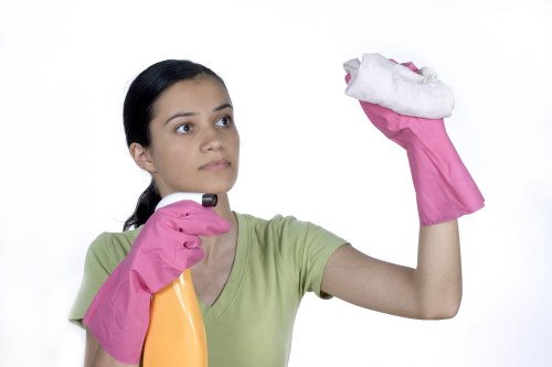 Professional carpet cleaning arrangement with pre-service planning